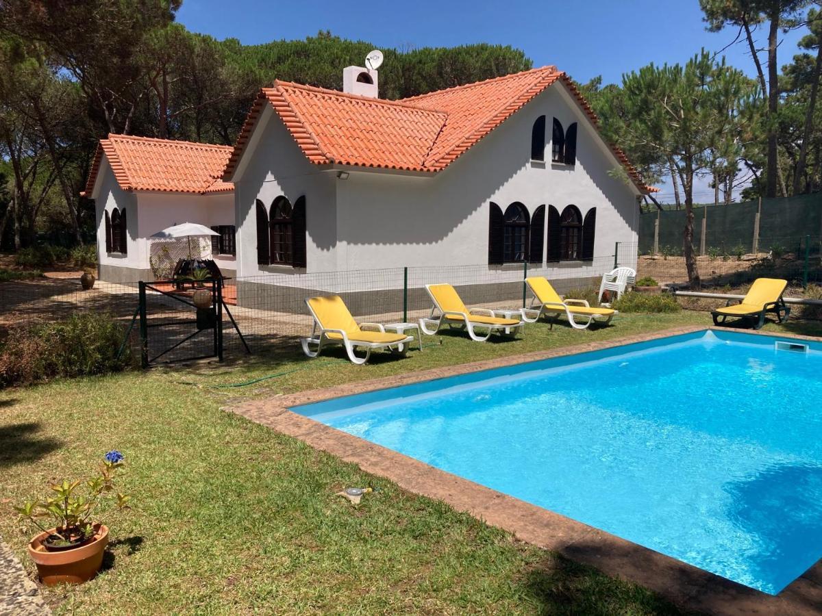 Moradia No Pinhal Com Piscina - Espaco E Privacidade Para As Suas Ferias! 신트라 외부 사진