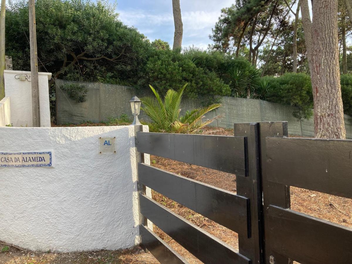Moradia No Pinhal Com Piscina - Espaco E Privacidade Para As Suas Ferias! 신트라 외부 사진